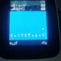 بره توقلی ماده|حیوانات مزرعه|سنگدوین, |دیوار