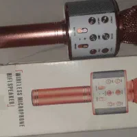 میکروفن|سیستم صوتی خانگی|قم, دروازه چوبی|دیوار