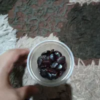 بذر تمر هندی