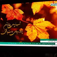 تلوزیون ۴۲ اینچ پاناسونیک با ضمانت|تلویزیون و پروژکتور|کرج, بنیاد|دیوار