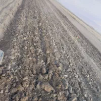 24جریب زمین کشاورزی