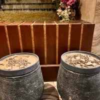 دو عدد گلدان به همراه سینی|گل و گیاه طبیعی|تهران, الهیه|دیوار