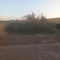 منزل مسکونی نوق رفسنجان (کمال ابادنوق)|اجارهٔ خانه و ویلا|فردوس (کرمان), |دیوار