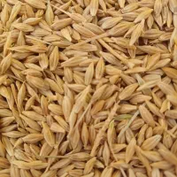 جو آبی بومی تمیز وخوب