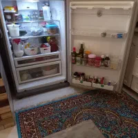 یخچال تمیز وسالم|یخچال و فریزر|آشخانه, |دیوار