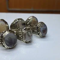 6 عدد انگشتر شجر