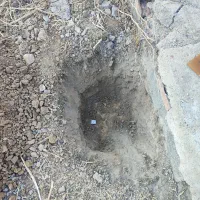 استخدام کارگر ساده