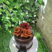 کیک لواشکی شکم پر