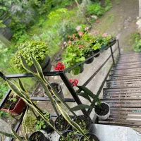 اجاره بلند مدت|اجارهٔ خانه و ویلا|اطاقور, |دیوار