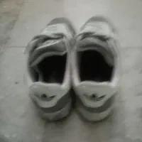 کتونی آدیداس