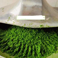 سبزی آماده سیدین