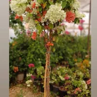 نیازمند کارگرد برا فروش گل تو بازار