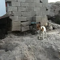 پاکوتا فیندو