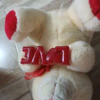 عروسک|اسباب‌بازی بچه|کرج, شهرک بنفشه|دیوار