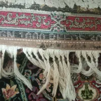 سه عدد فرش ۶متری|فرش|وحیدیه, |دیوار