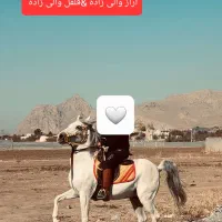 مادیان ۷ ساله دوسر تایید شجره قوی آبستن