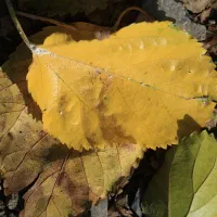 عکاسی حرفه ای|استخدام هنری و رسانه|پرند, فاز ۶|دیوار