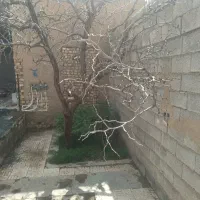 انجام کارهای کشاورزی مشاوره درکاشت داشت وابیاری