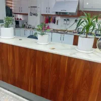 گل های طبیعی|گل و گیاه طبیعی|تهران, باغ فیض|دیوار