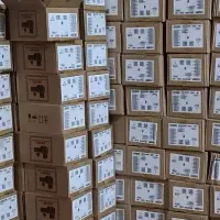 فروش عمده نوکیا 106 قیمت دبی|موبایل|شیراز, اصلاحنژاد|دیوار