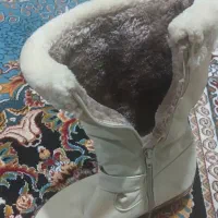 پوتین|کیف، کفش، کمربند|مشهد, شهرک شهید باهنر|دیوار