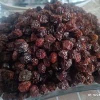 آلوچه آفتابی  ترش عمده و جزئی