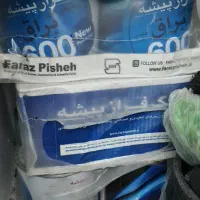 رنگ فرازپیشه  سفید مشکی براق