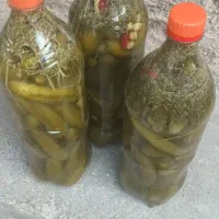 خیارشورمحلی تردوخوشمزه|خوردنی و آشامیدنی|تربت‌حیدریه, بالا ولایت|دیوار