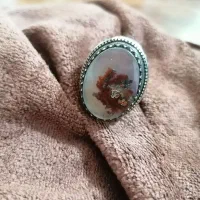 شجر هفت رنگ فردوس