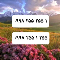 سیمکارت رند دوقلو بسیار زیبا