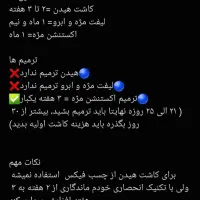 تخفیف %30 تا %50 خدمات مژه و ابرو|خدمات آرایشگری و زیبایی|محمدشهر, همایون ویلا|دیوار