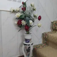 گلدون وابنماواستند