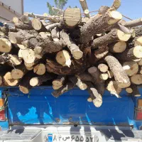چوب شما را خریداریم با قیمت بالا