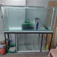 آکواریوم حرفه ای