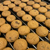 انواع مینی کوکی|خوردنی و آشامیدنی|تهران, محمودیه|دیوار