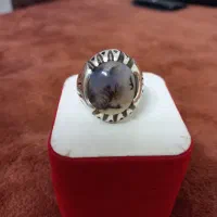 انگشتر،شجر