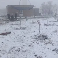 باغچه-فروشی