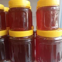 عسل گردو ملایر