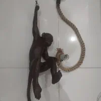 لوستر میمون آویز