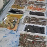 تور ریلی کربلا|تور و چارتر|کرمان, |دیوار