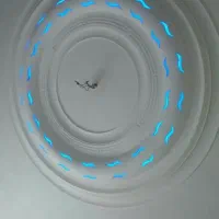 گچ کارم|خدمات پیشه و مهارت|یاسوج, |دیوار