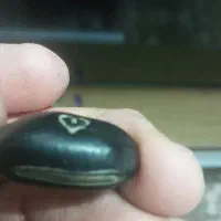 دونه سیاه( هسته عطیقه)|کلکسیون اشیاء عتیقه|گلبهار, شهر جدید گلبهار|دیوار