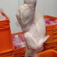 استخدام راننده نیسان یخچالدار