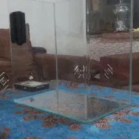 آکواریم ماهی درجه 1 ( شرکتی )