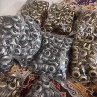کبوتر رنگی|پرنده|قزوین, |دیوار