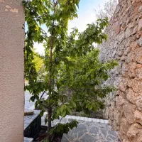 فروش-باغچه-250-متری-واقع-در-فشند