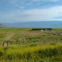 جویای کار نیمه وقت