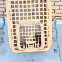 قفس مرغی نو