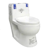 فرنگی اماتیس