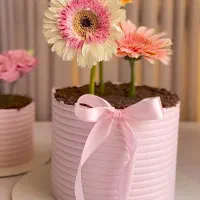 کیک روز مادر(زن)|خدمات پذیرایی، مراسم|ایلام, |دیوار